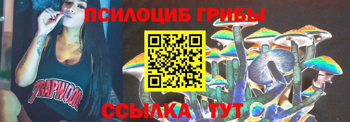 Псилоцибиновые грибы мицелий Липецк